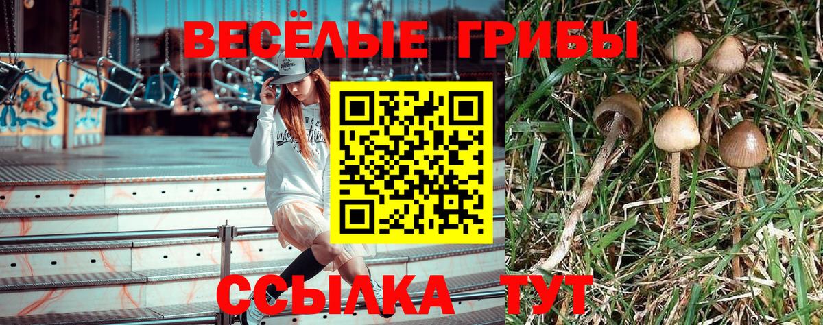 Галлюциногенные грибы прущие грибы Славгород