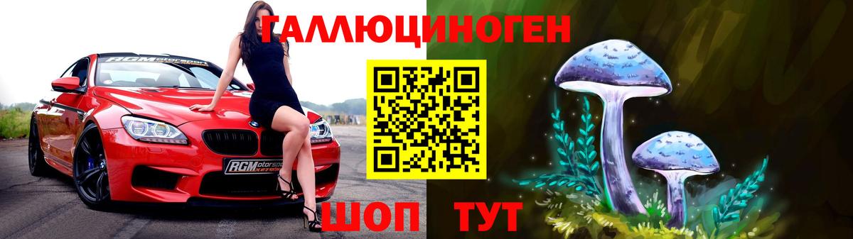 Славгород  Псилоцибиновые грибы ЛСД  Псилоцибиновые грибы Magic Shrooms  Вход с VPN 
